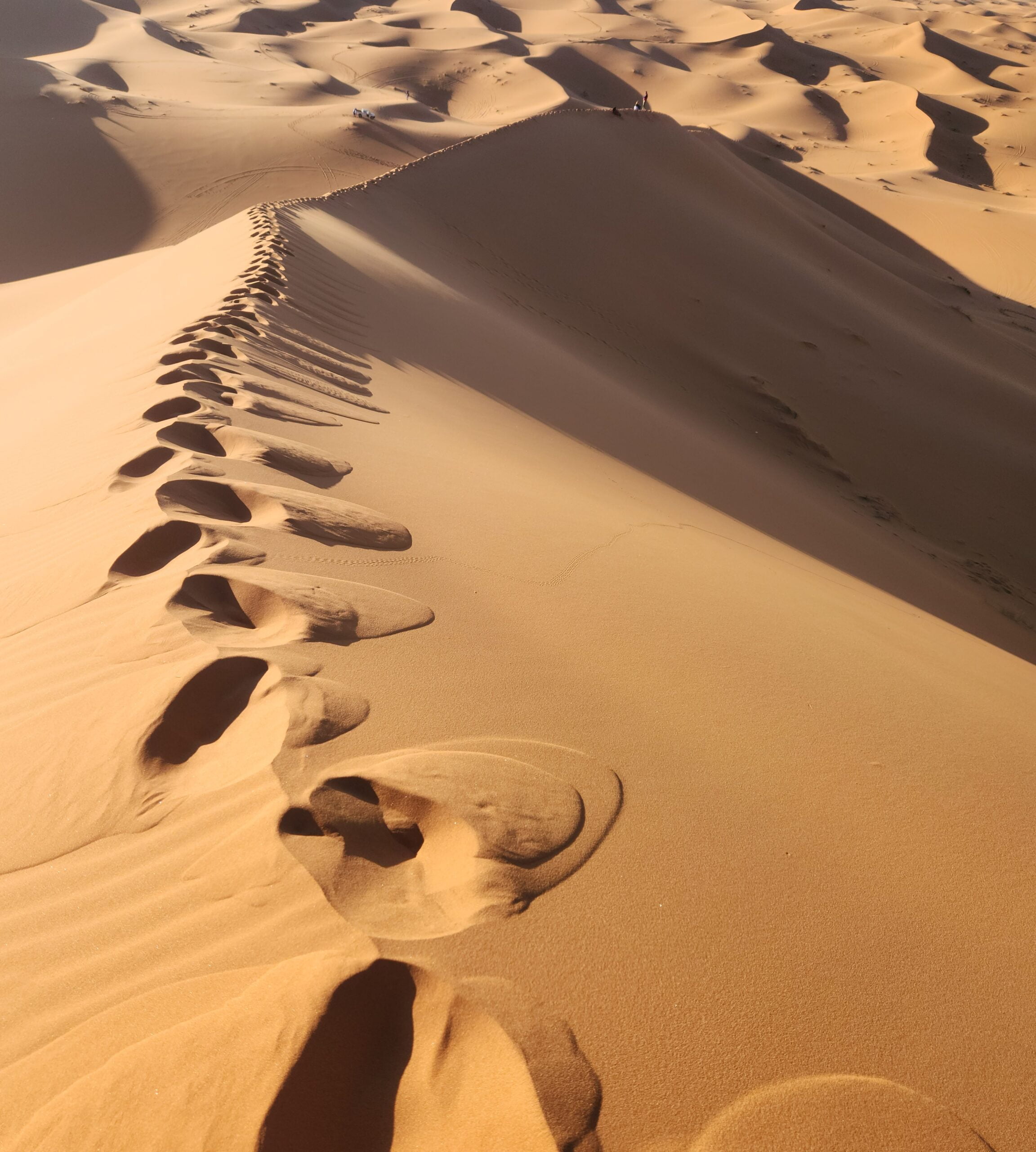 Footprints leading over a sand dune ridge in the Sahara Desert, symbolizing the beginning of an adventure.