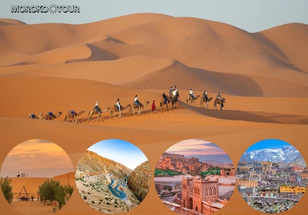 Camel caravan crossing the golden Erg Chebbi dunes during a 2-day Marrakech to Merzouga desert tour