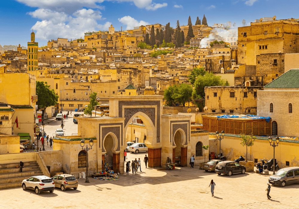 authentic leather (3)